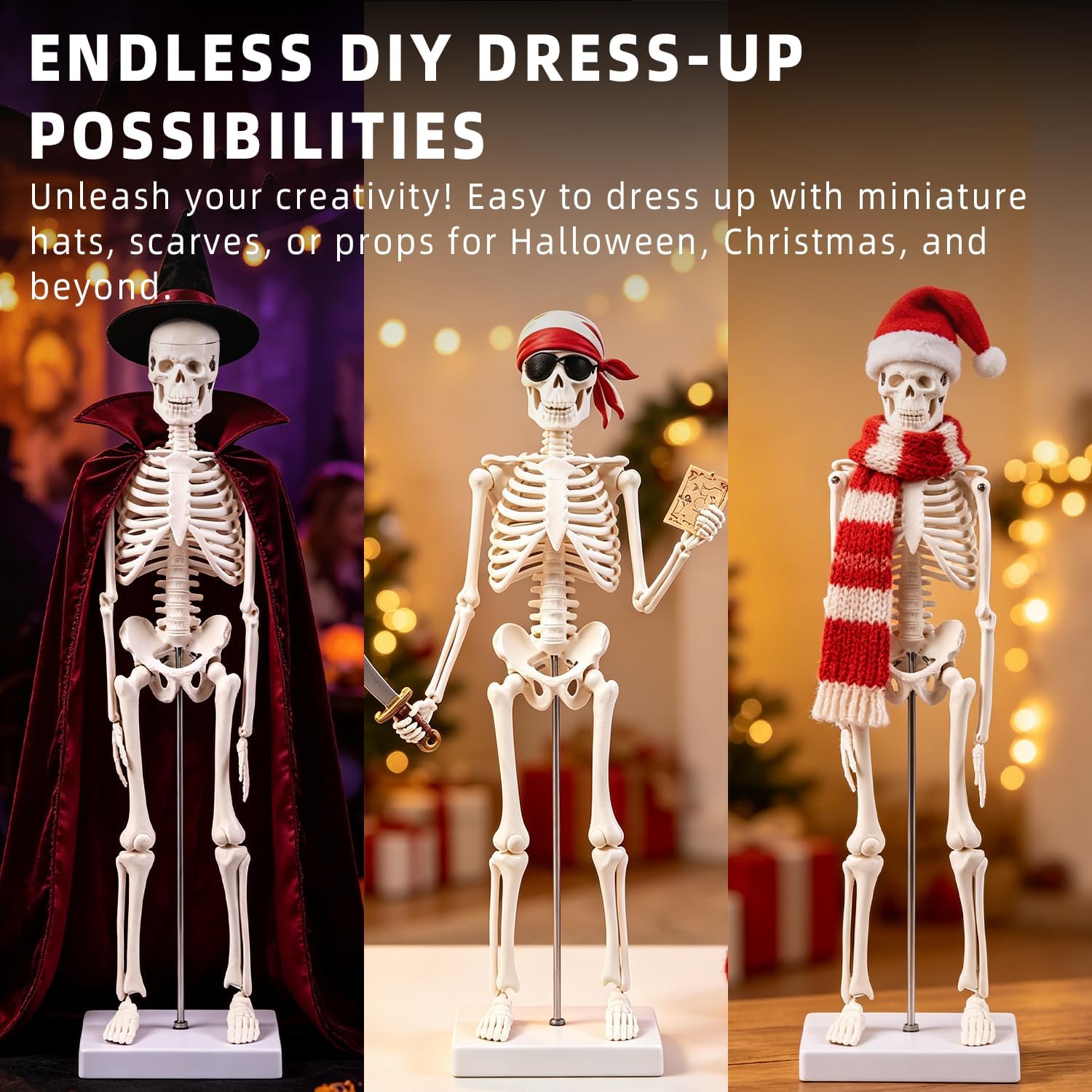 17.72 Inch Mini Skeleton Anatomy Model,Realistic Human Skeleton Model with Movable Arms and Legs, Scientific