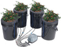 DWC Hydroponics Grow System, Hydroponic Growing System with Top Drip Kit, Deep Water Culture 5-Gallon 4 Buckets, with