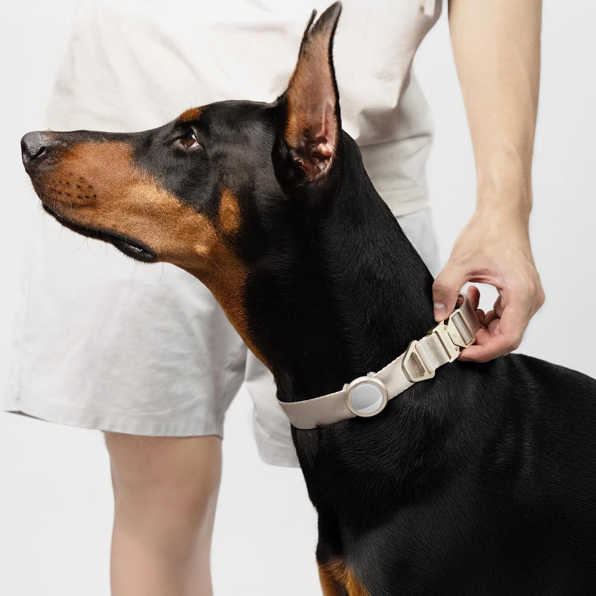 Dog Airtag Collar Adjustable Lightweight Nylon Dog Collar, Linen