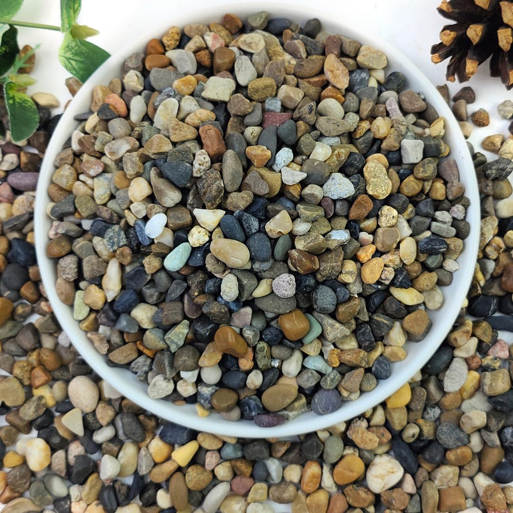 5lbs Aquarium Gravel, 1/4" Fish Tank Gravel Natural River Rocks | Succulent Cactus Pea Gravel for Plants, Pebbles for