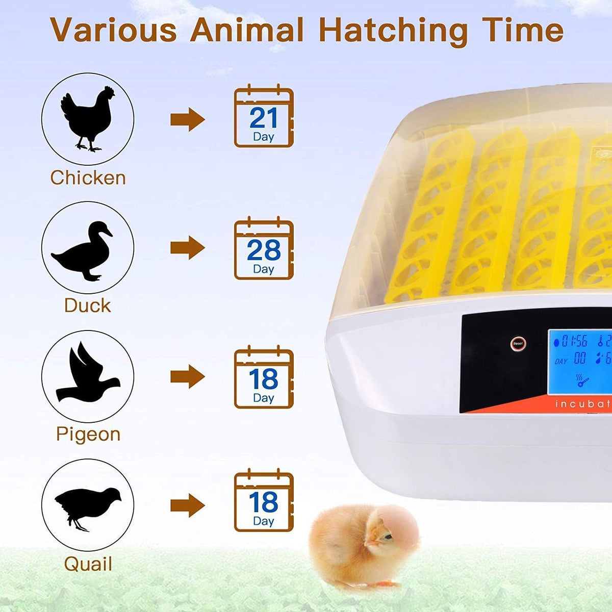 55 Egg Incubator with Auto Turner & Humidity Control 360° View