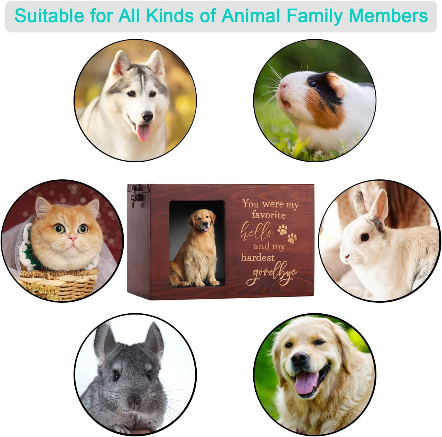 Pet Memorial Urns for Dogs or Cats Ashes with Photo Frame