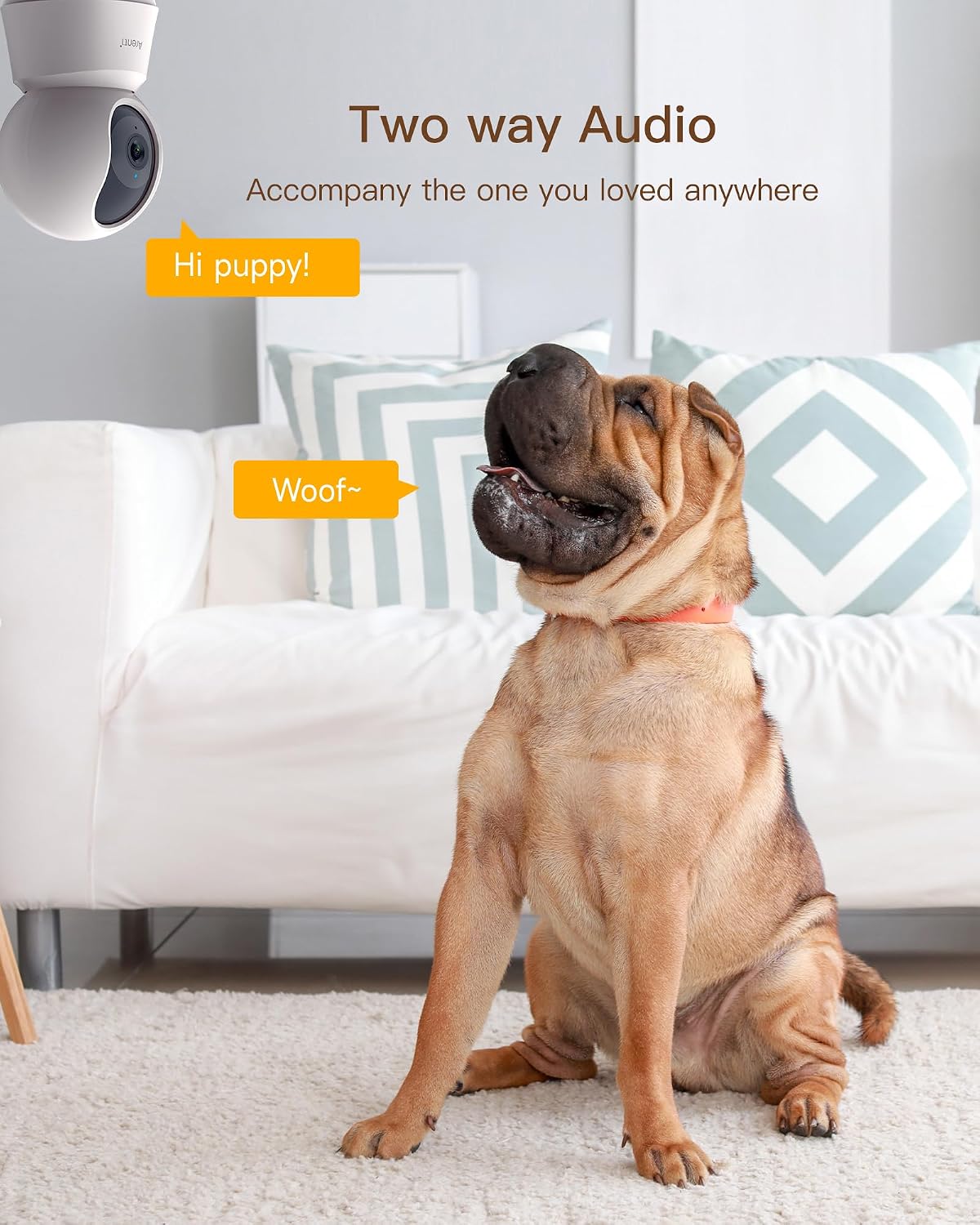 4MP Pet Camera P2Q, 5G WiFi 6 Indoor Security Camera, Free Phone App