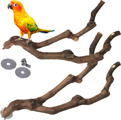 Natural Parrot Perch Bird Stand Pole Wild Grape Stick Paw Grinding Fork Parakeet Climbing Standing Branches Toy