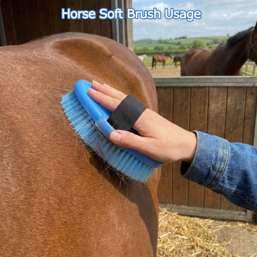 Horse Grooming Kit, 13-Piece Horse Brush Set with Organizer Bag Complete Care, Mane Braiding Kit, Brushes & Curry