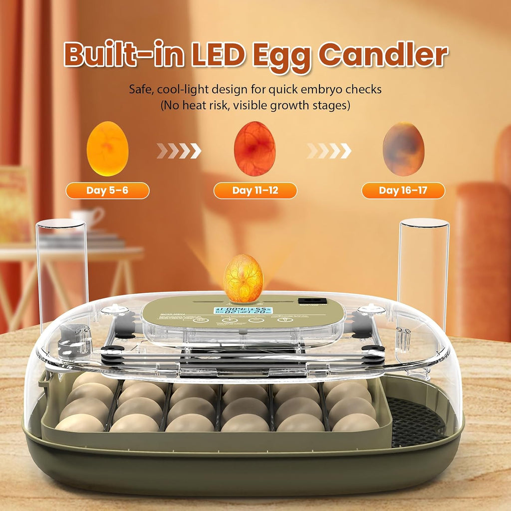 24 Egg Incubator with Humidity Display & Candler, Automatic Adjustable Turner, Temp & Humidity Control, Auto Water