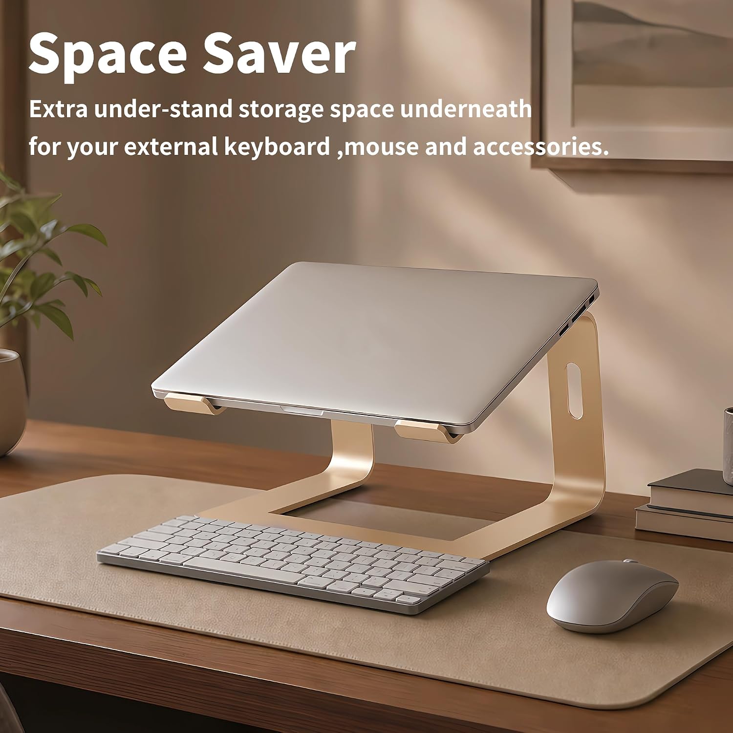 Ergonomic Laptop Stand, Premium 5mm Aluminum Riser for 10-15.6 Inch Notebook Computer, Tool-Free Detachable Elevator