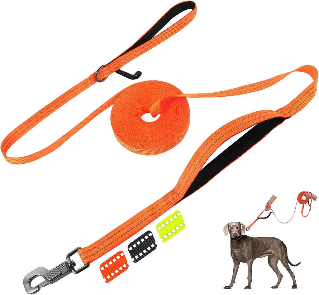 Obedience Recall Training Agility Lead, 30FT Long Dog Leash, Orange