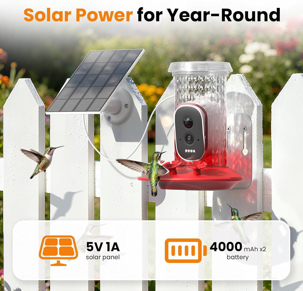 Smart Hummingbird Feeder with Camera Solar Powered