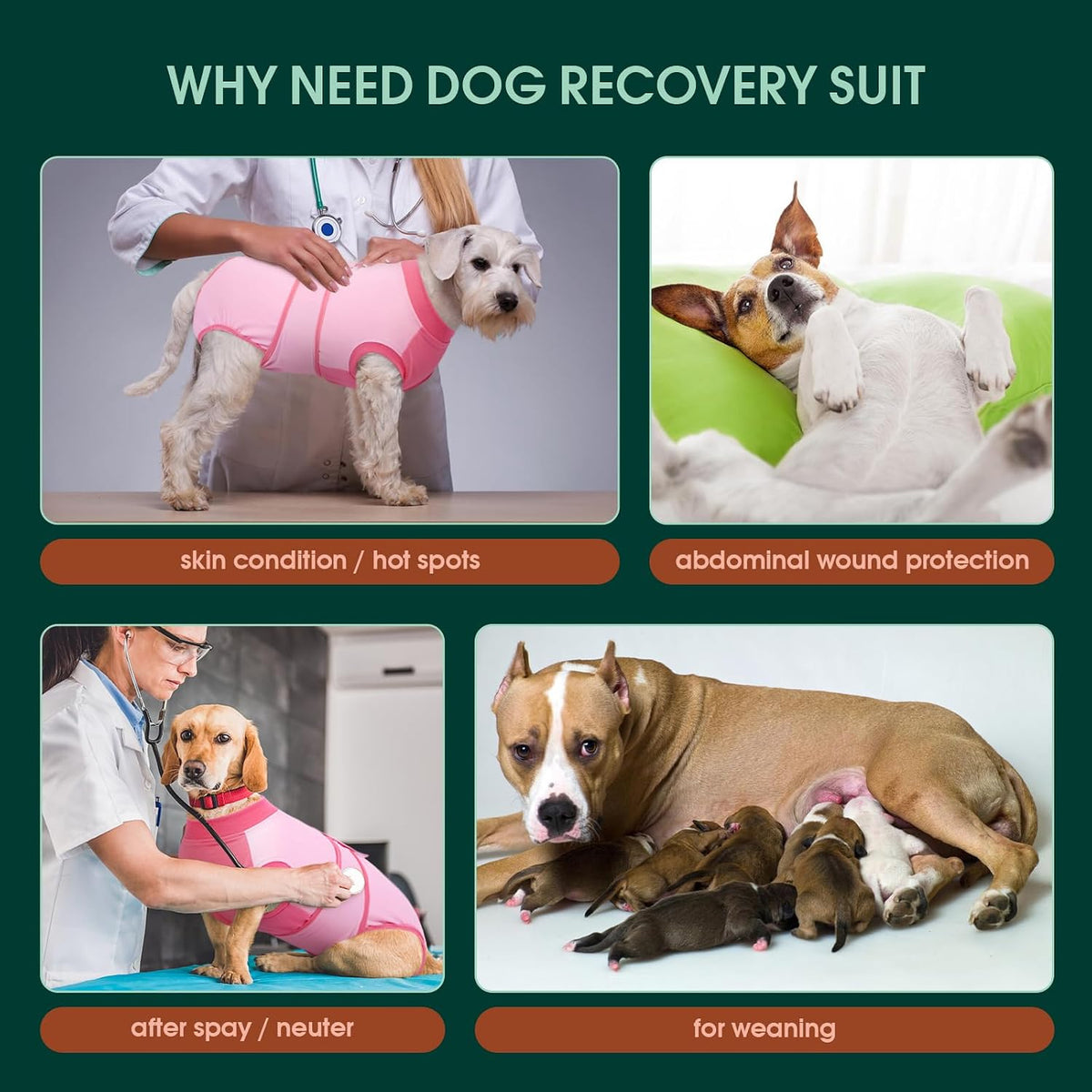 Dog Recovery Suit, Female Male Spay Neuter Surgery Suit, Pink, XS