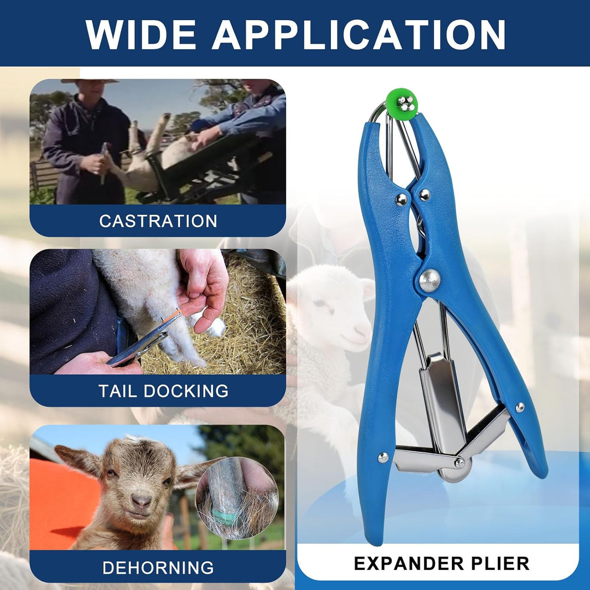 Goat Banding Tools, Including 1pc Stainless Steel Bander and Green and Orange Total 100pcs Banding Rings, Expander