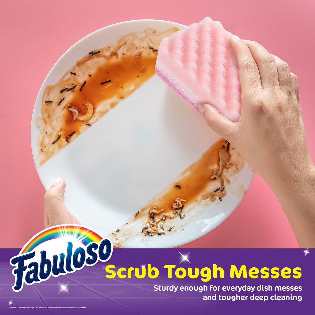 Dish Sponges, Scratch-Free Kitchen Scrubber, 4 Ct, 2-Pack