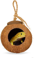 Leopard Gecko Coco Hut, Gecko Climbing Accessories, Raw Coconut Shell Reptile Hide, Terrarium Habitat Décor, 2.5”