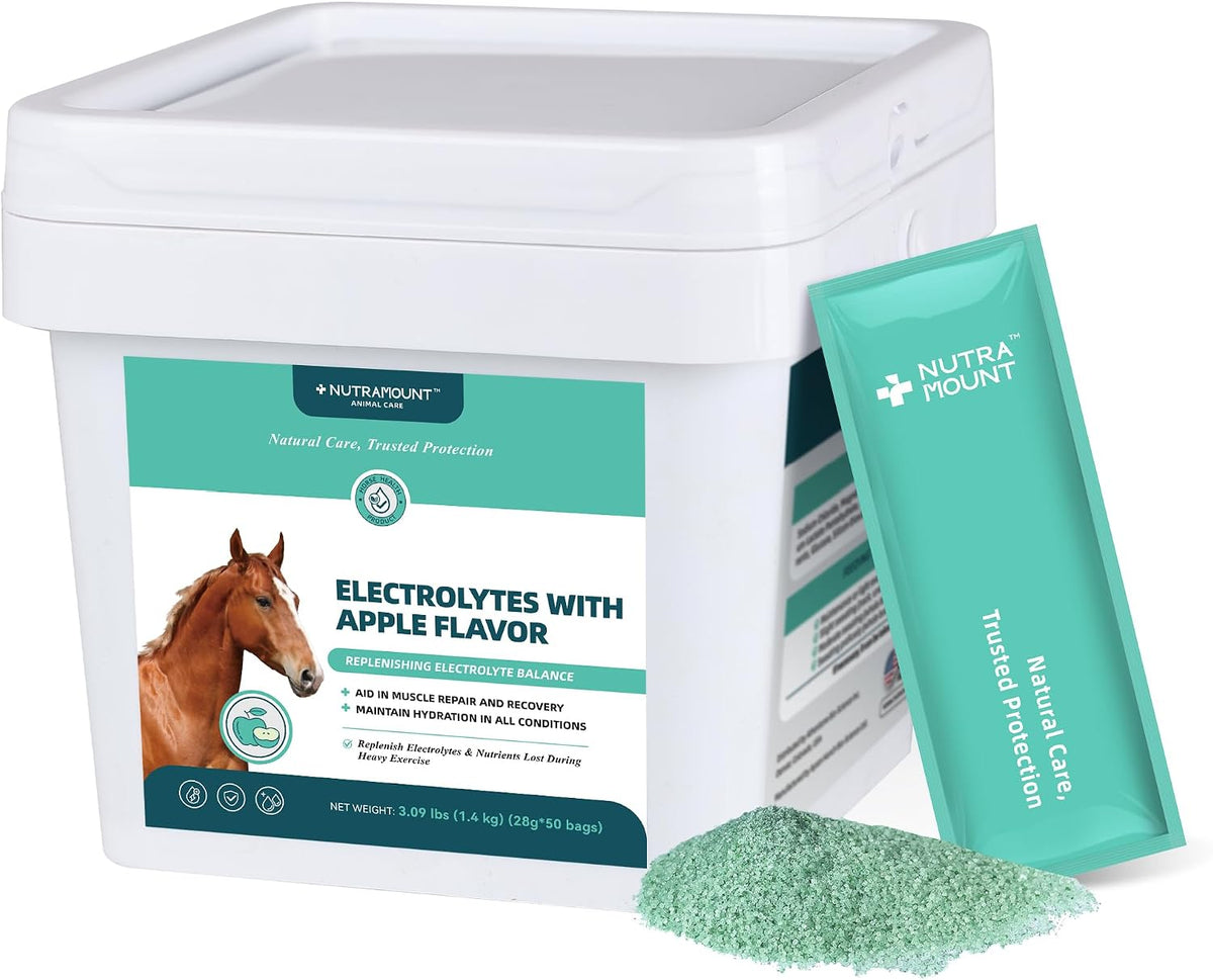 Equine Electrolytes Supplement with Apple Flavor, Replenish Lost Minerals & Support Hydration for Horses During