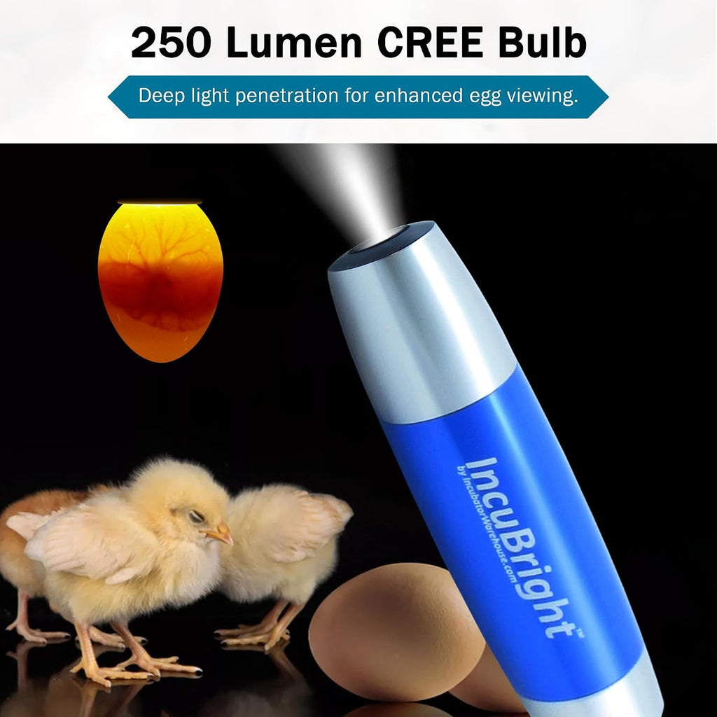 Incu-Bright Ultra Bright LED Egg Candler - Portable Light for All Egg Size