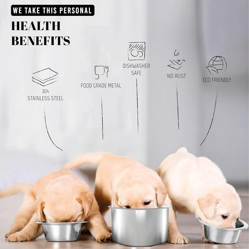 21oz Stainless Steel Dog Bowls Set, 2 Pack for Replacement Dogs Bowl Stand, 2.6 Cups Metal Dog Bowls, 5 Inch Small