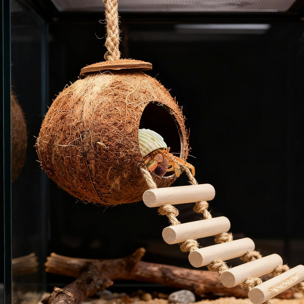Gecko Tank Accessories Natural Coconut Shell Hut with Climbing Ladder & Suction Cup Hermit Crab Toys Reptile Hideout