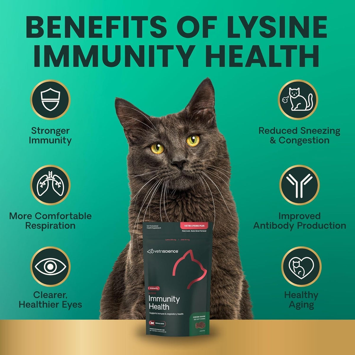 Lysine Immunity Health Chews for Cats, Chicken, 90 Count
