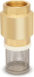 3/4" NPT Foot Valve with Filter, Brass, Heavy Duty, Female Thread, DN20