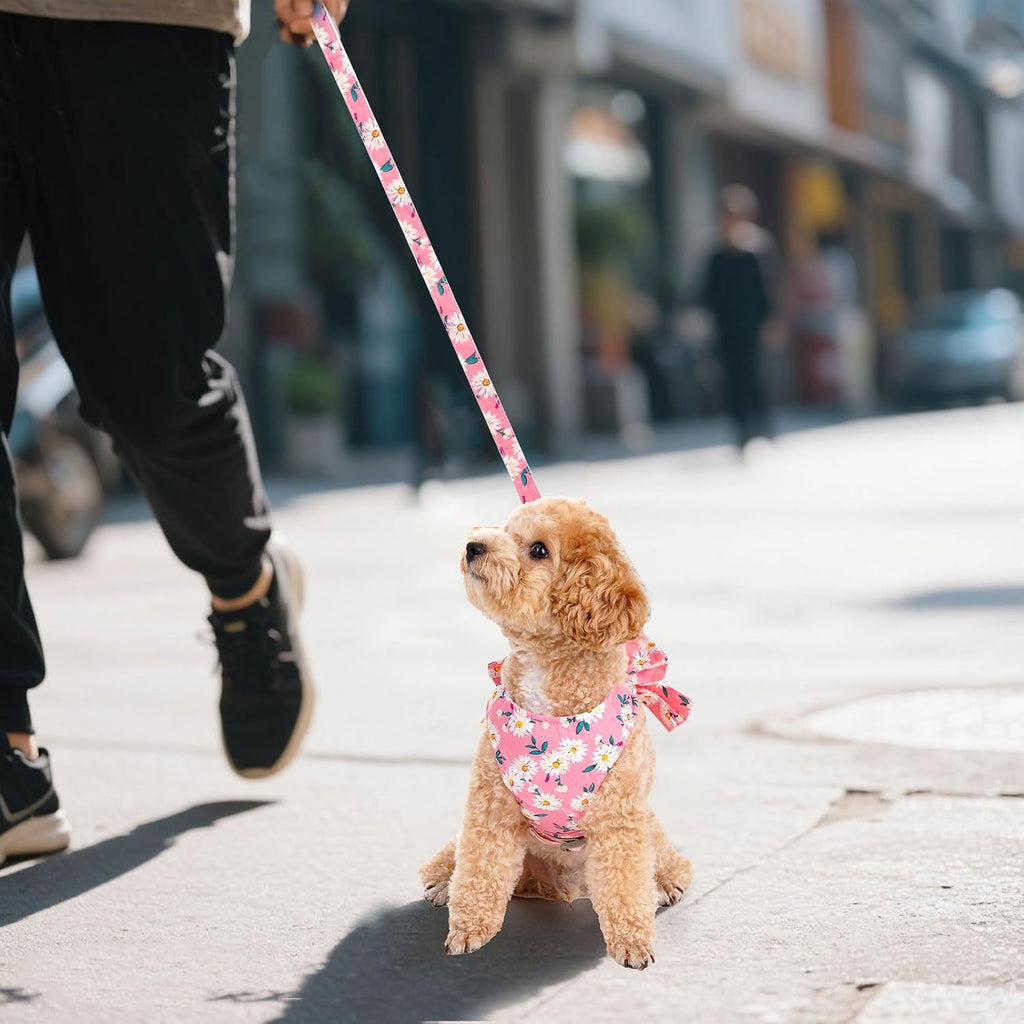 Dog Harness and Leash Set Adjustable Puppy Harness Mesh Vest Set Bow Knot Pet Clothes for Small Girl Dog Cat Summer