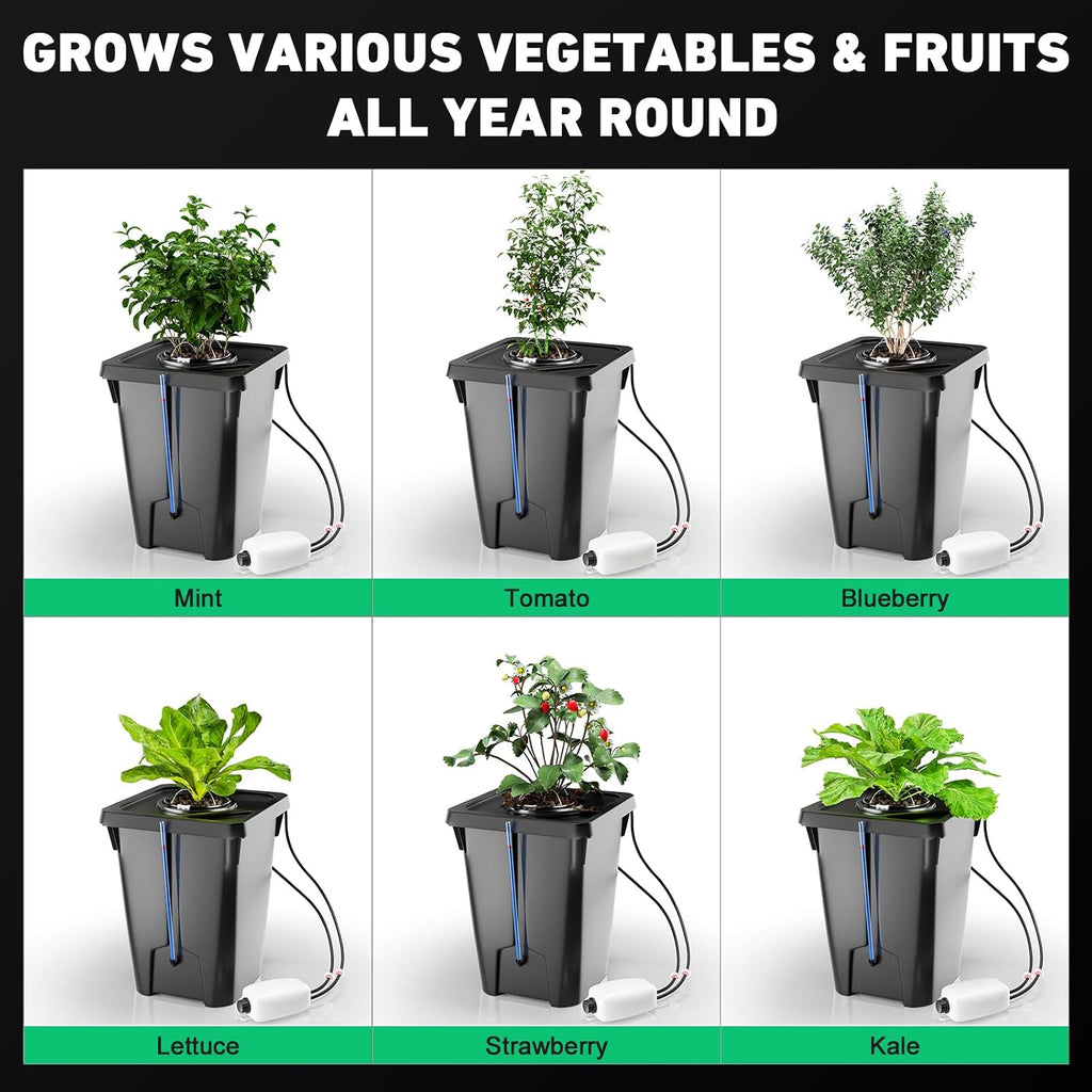 4 Buckets DWC Hydroponics Growing System with Top Drip Kit 7 Gallon Deep Water Culture Bucket System with Air Pump