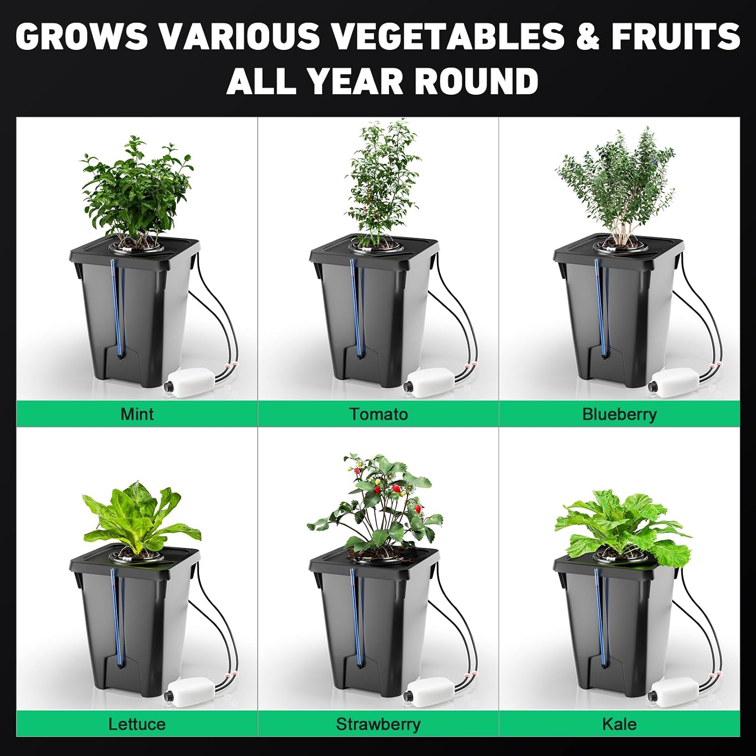 4 Buckets DWC Hydroponics Growing System with Top Drip Kit 7 Gallon Deep Water Culture Bucket System with Air Pump
