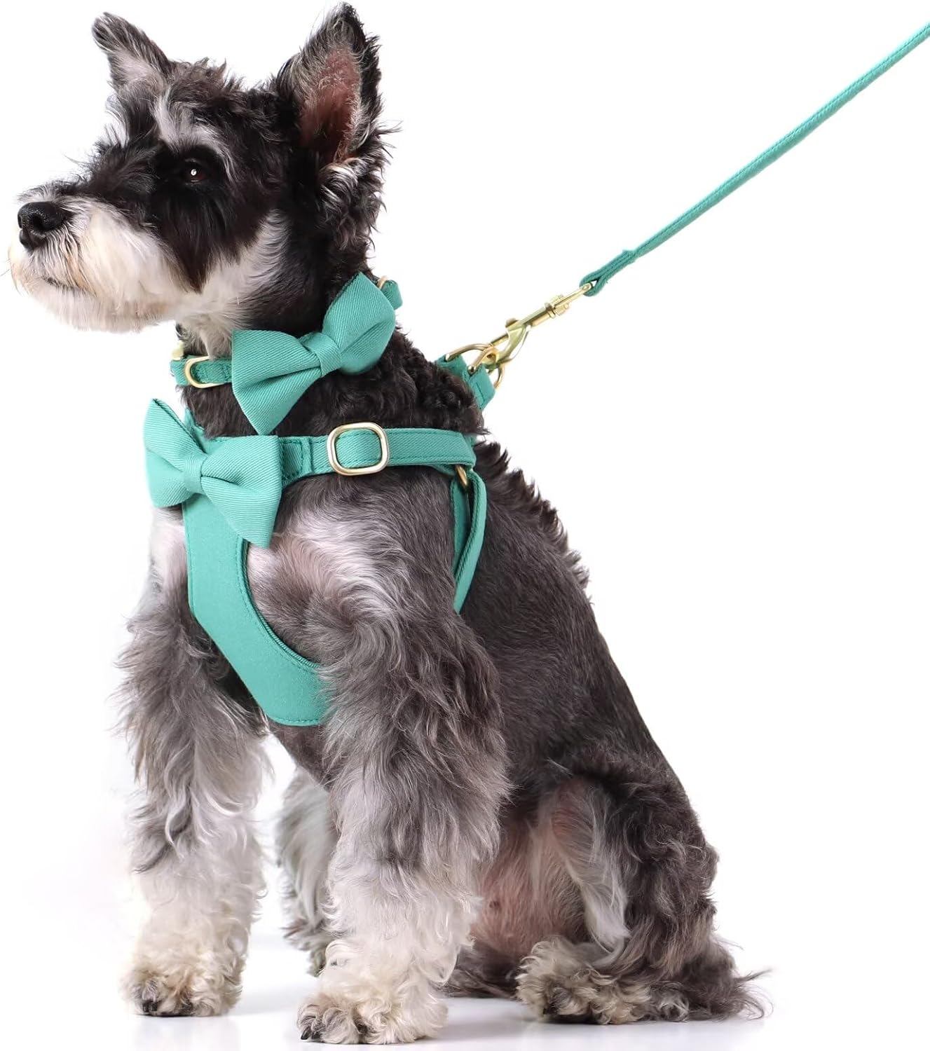 Adorable Small Dog Harness Collar and Leash Set,Cute Puppy Harness Set with 3 Bows for Small Dogs,Shih