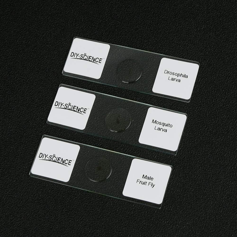 Prepared Whole Insects Microscope Slides Set, 10pcs Specimens for Kids Students Biology Class, Educational Gift