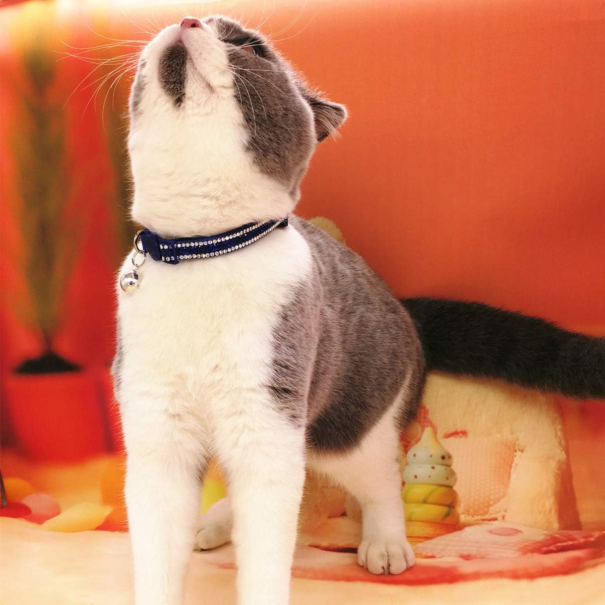 Basic Adjustable Cat Collar Bling Diamond Breakaway with Bell for Kitten Girl boy (Blue)