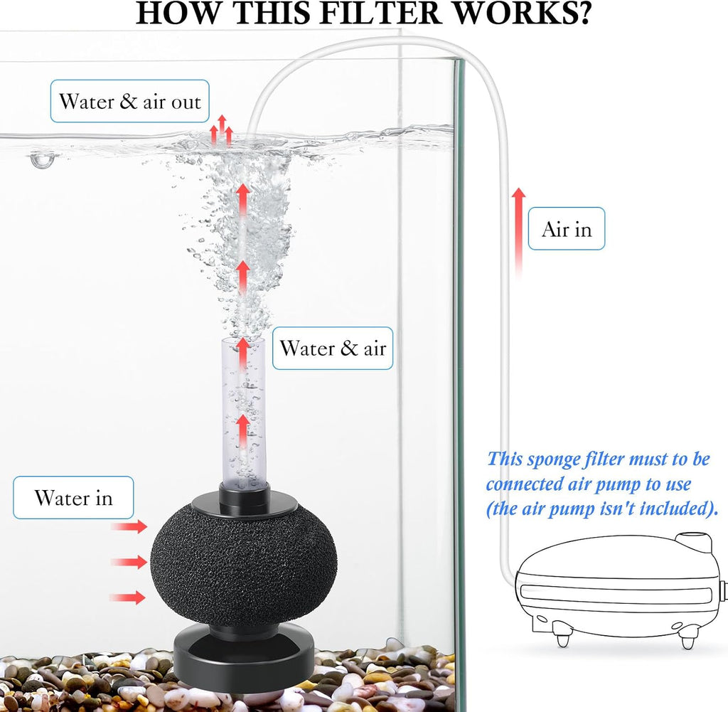 2 Pack Aquarium Bio Sponge Filter: Diameter 2.5in Mini Air-Powered Fish Tank Filter, Quiet Small Sponge Filter for up