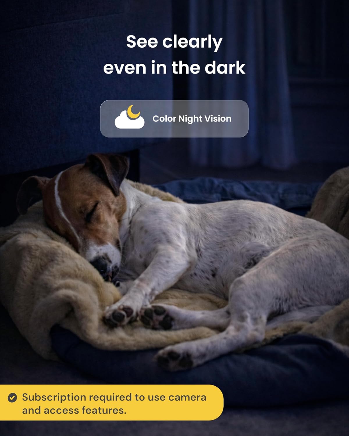 360° Dog Camera + Power Adapter [Subscription Required] Unlock w/Paid Plan: Dog Safety Alerts, Rotating Pet Treat