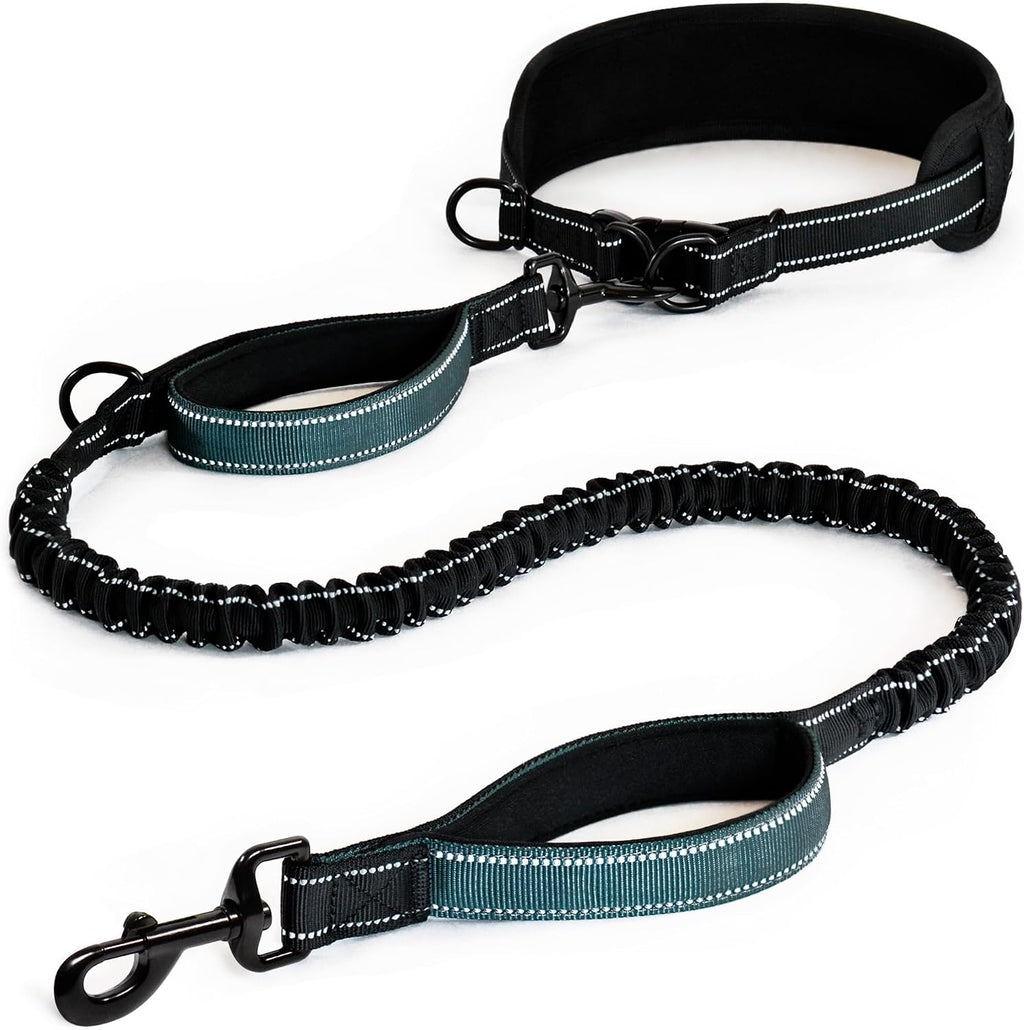Waist Leash for Dog Walking, Waist Dog Leash for Running, Hands Free with Metal Quick-Release Buckle, Rope Bungee