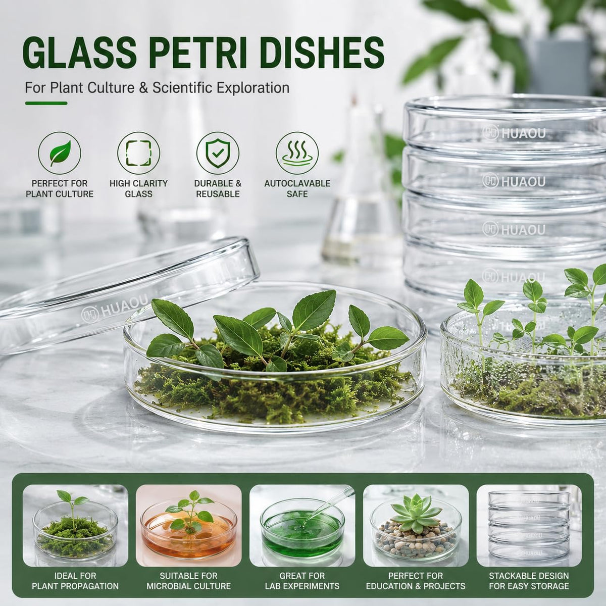 10pcs 90mm Glass Sterile Petri Dishes with Lids
