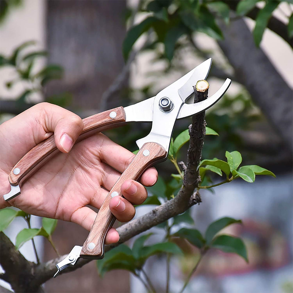 8” Wood Handle Garden Scissors, Set of 2, Includes Bypass Pruning Shears and Long Straight Tip Clippers, Premium