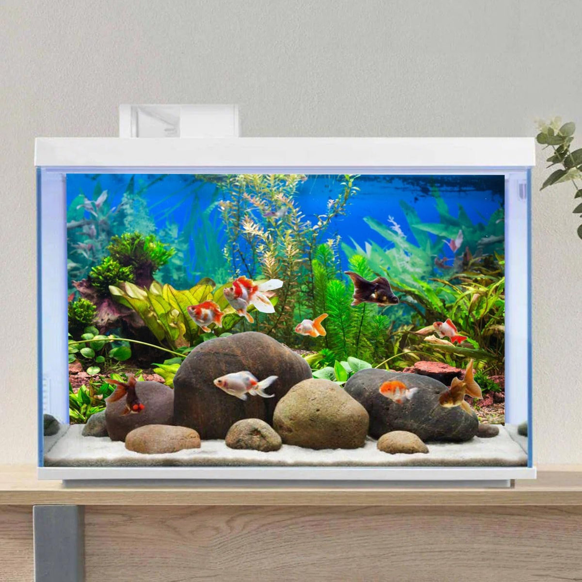 48x24 in Aquatic Plant Aquarium Backdrop Riverbed Fish Tank Background