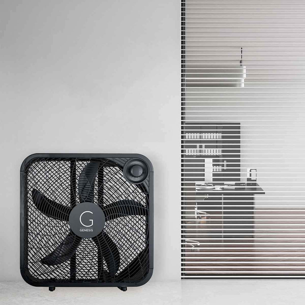 20" Box Fan, 3 Settings, Max Cooling Technology, Carry Handle, Black (G20BOX-BLK)