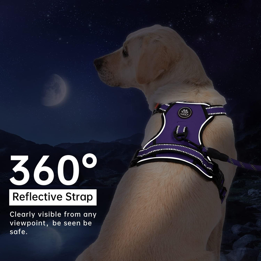 No Pull Dog Harness for Medium Dogs, Dog Vest Harness with Leash, Safety Belt and Storage Strap, Fully Adjustable
