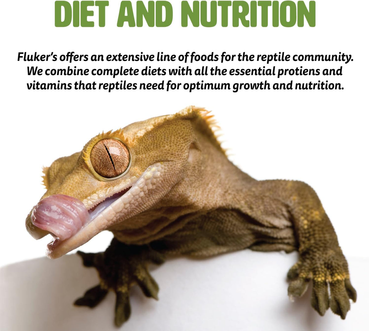 Aquatic Turtle Food, Vitamin, Enriched Medley Treats of Freeze, Dried River Shrimp, Mealworms, and Crickets, 2.9 oz