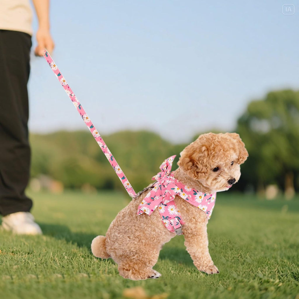 Dog Harness and Leash Set Adjustable Puppy Harness Mesh Vest Set Bow Knot Pet Clothes for Small Girl Dog Cat Summer