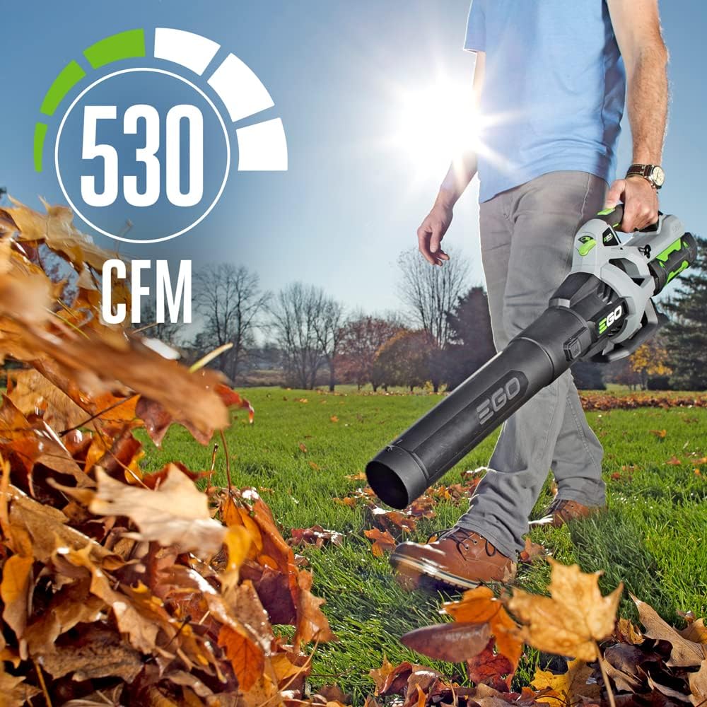 Cordless Electric Leaf Blower, 530 CFM, With Battery - LB5302