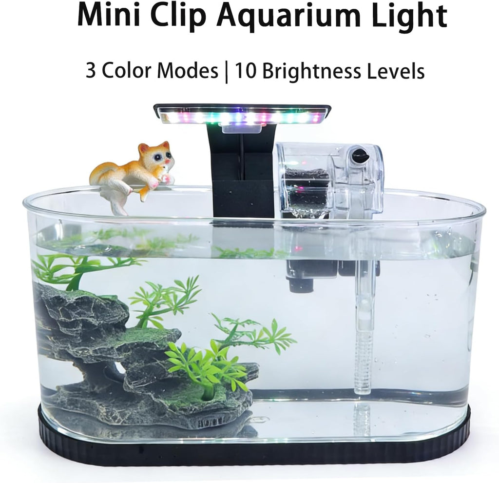 2 Gallon Fish Tank Kit, Small Aquarium Starter Tank with Filter and Light