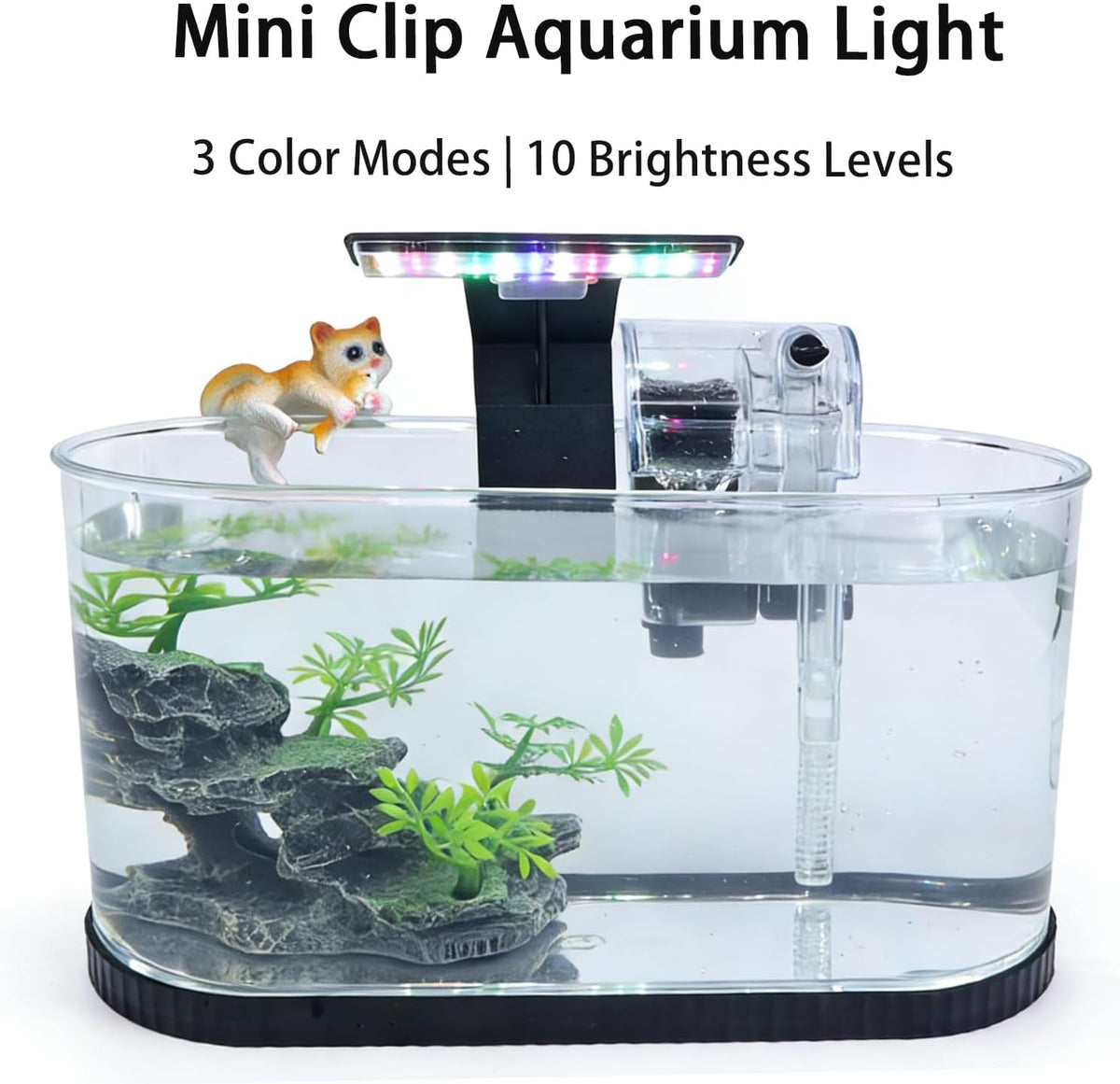 2 Gallon Fish Tank Kit, Small Aquarium Starter Tank with Filter and Light