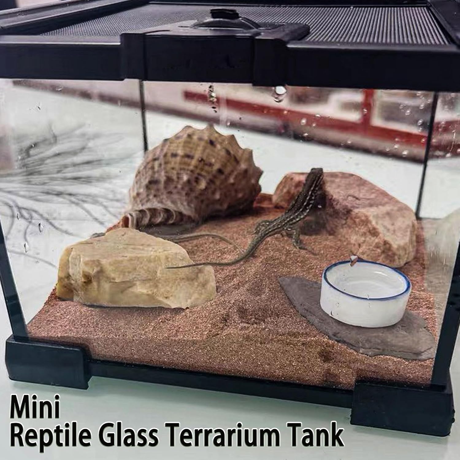 Mini Reptile Glass Terrarium Tank,8"x8"x6" Small Reptile Enclosure Cage | Full View Geckos Enclosure Tank Habitat