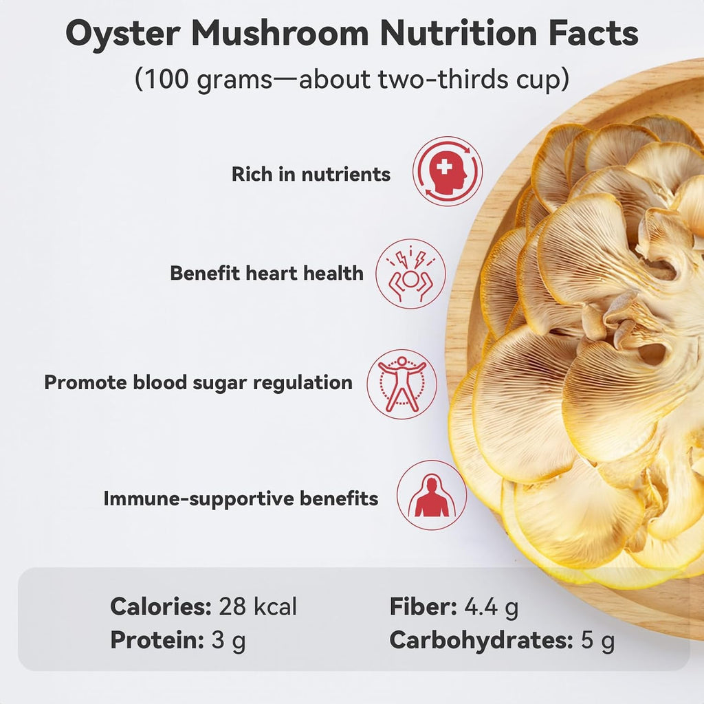 Large Organic Oyster Mushroom Growing Kit(4 lbs)