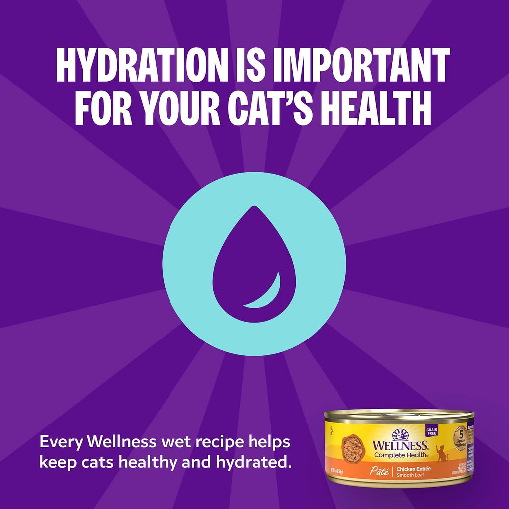 Complete Health Pate Variety Pack Adult Canned Wet Cat Food, Natural, Protein Rich, Grain Free, Chicken and Turkey