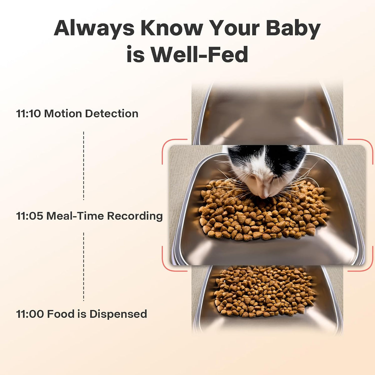Automatic Cat Feeder with Camera - 5G WiFi Cat Food Dispenser with Night Vision, 7L Dog Feeder Automatic, 1-15 Meals