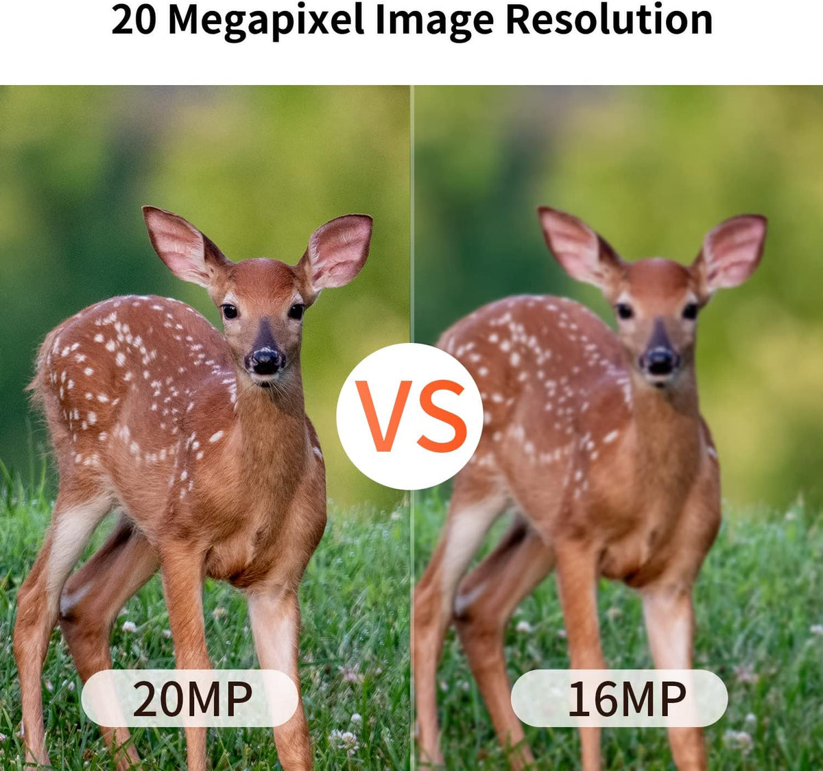 Game Camera 20MP Mini, 1080P Hunting Trail Camera with No Glow 940nm Night Vision, Motion Activated, IP66 Waterproof