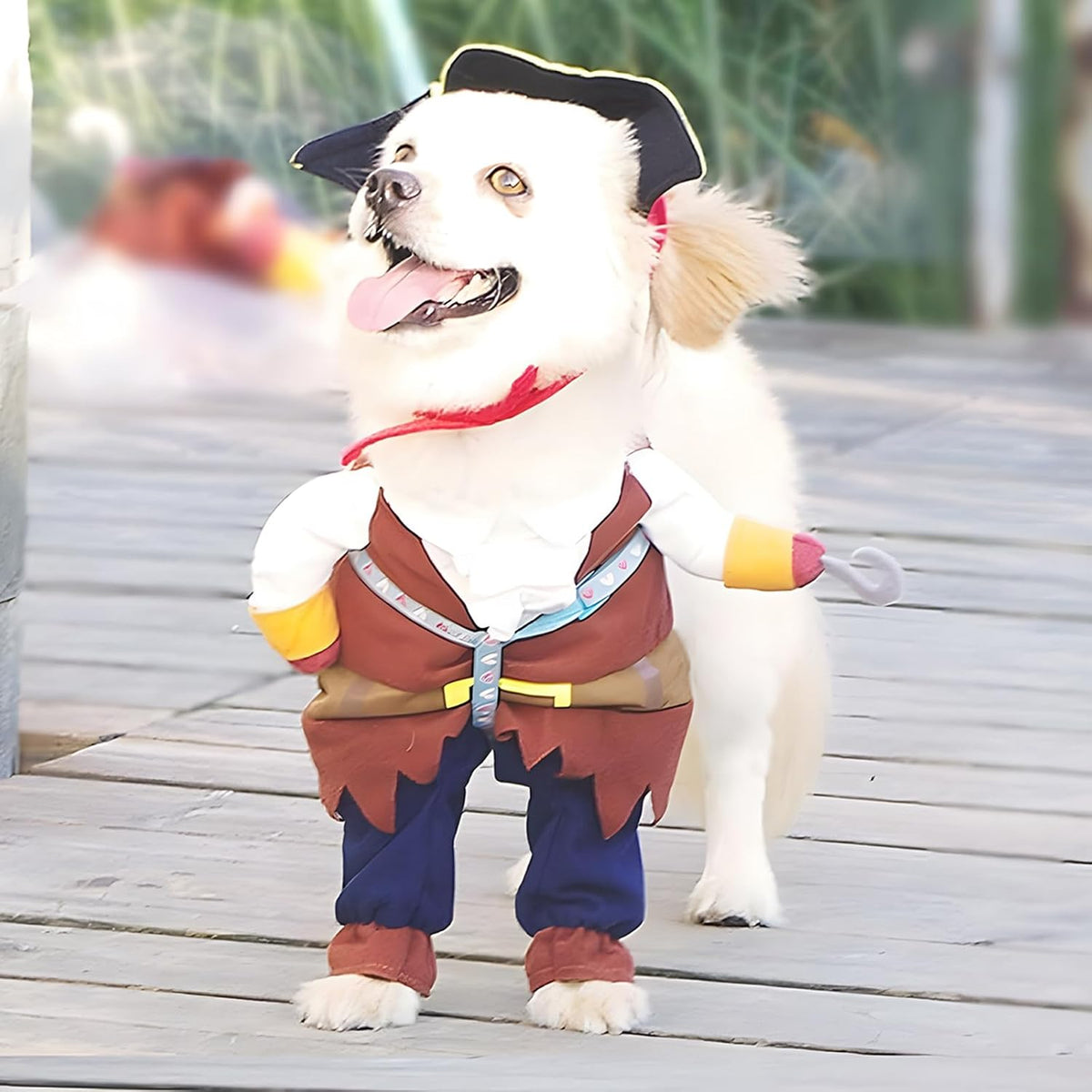 Pet Dog Costume Pirates of The Caribbean Style (Large)