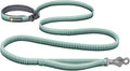 Roamer Bungee Dog Leash, River Rock Green, 5.5'-7'