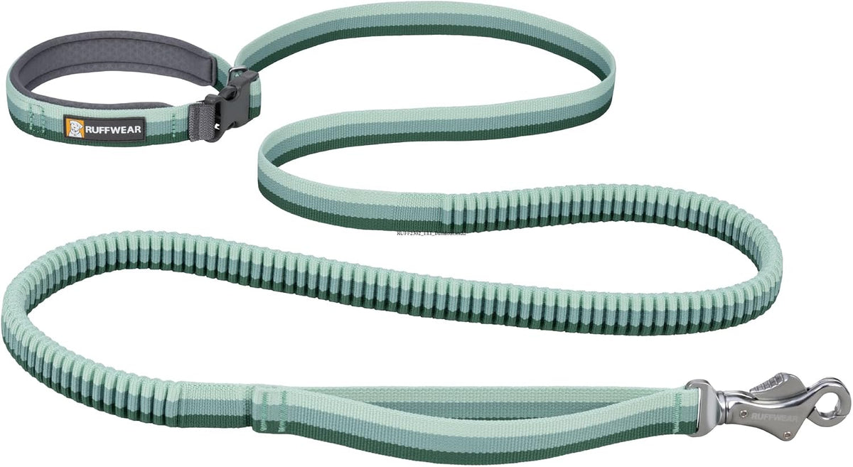 Roamer Bungee Dog Leash, River Rock Green, 5.5'-7'